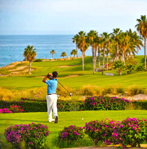 Cabo San Lucas Golf Courses 